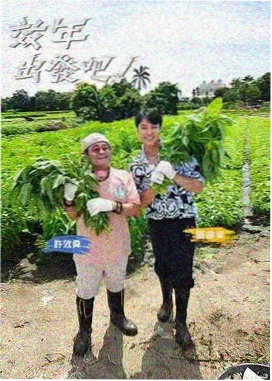 口碑上升榜第一：纸鸢邮局缩略图